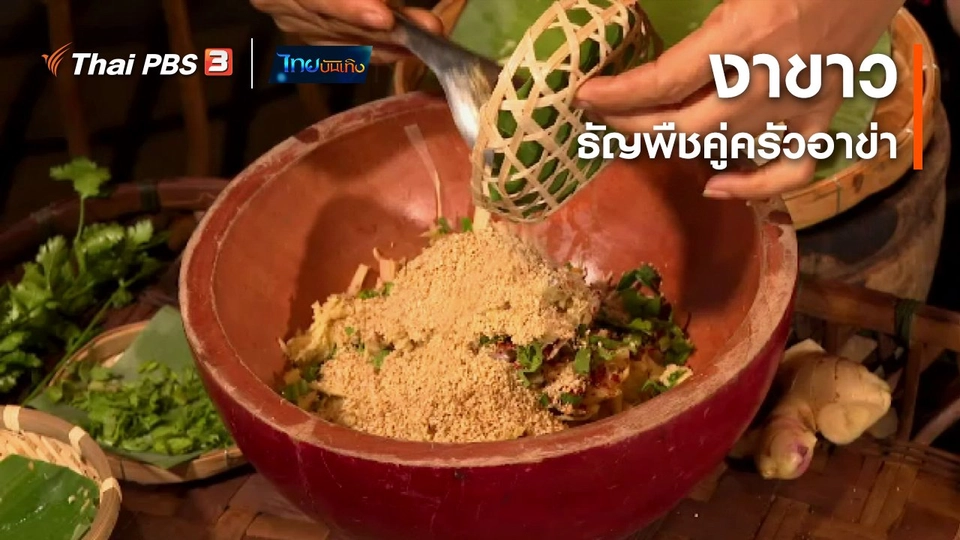 อิ่มมนต์รส : "งาขาว" ธัญพืชคู่ครัวอาข่า