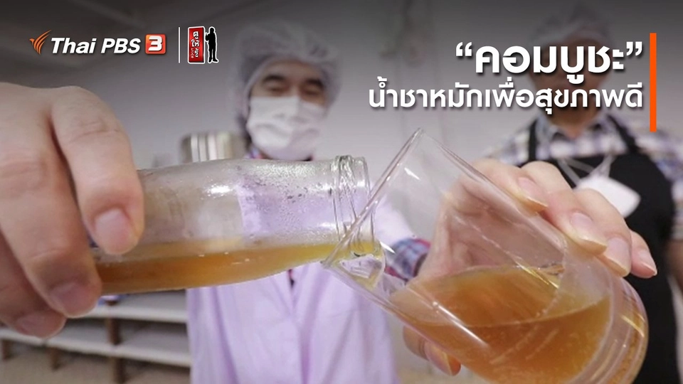 รู้ให้ลึกเรื่องญี่ปุ่น : “คอมบูชะ” น้ำชาหมักเพื่อสุขภาพดี