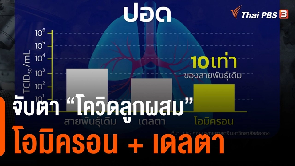 จับตา “โควิดลูกผสม” โอมิครอน + เดลตา