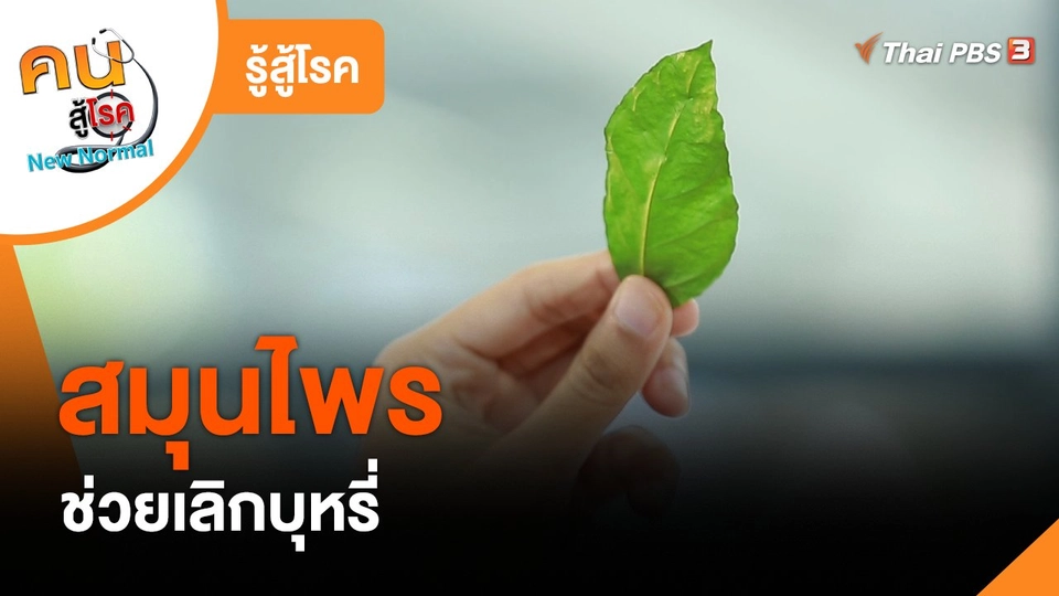 รู้สู้โรค : สมุนไพรช่วยเลิกบุหรี่