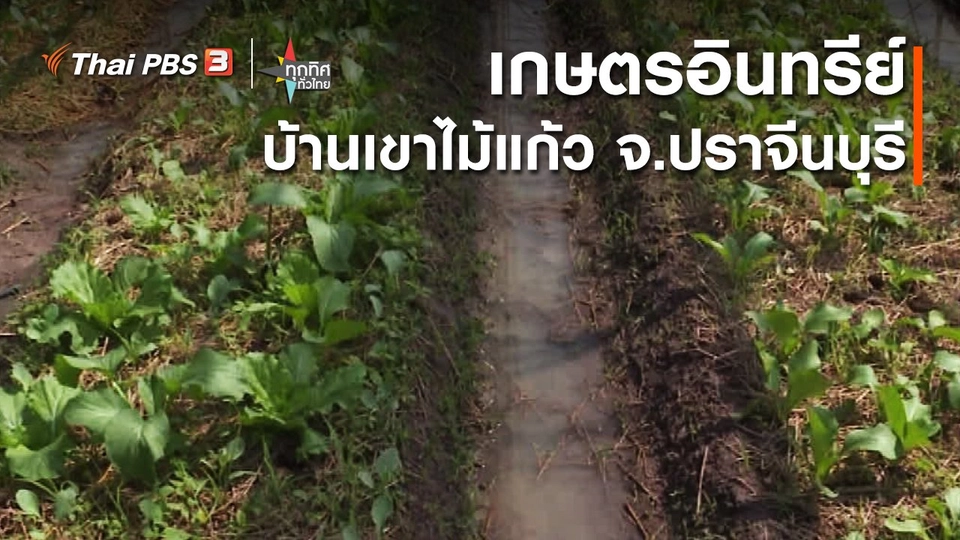 อาชีพทั่วไทย : เกษตรอินทรีย์บ้านเขาไม้แก้ว จ.ปราจีนบุรี