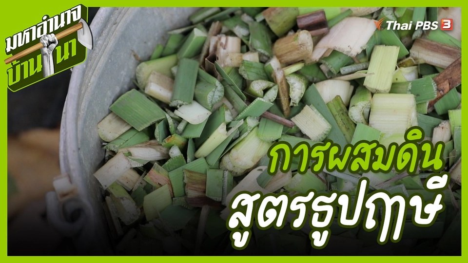 ​สูตรลับฉบับบ้านนา : การผสมดินสูตรธูปฤาษี