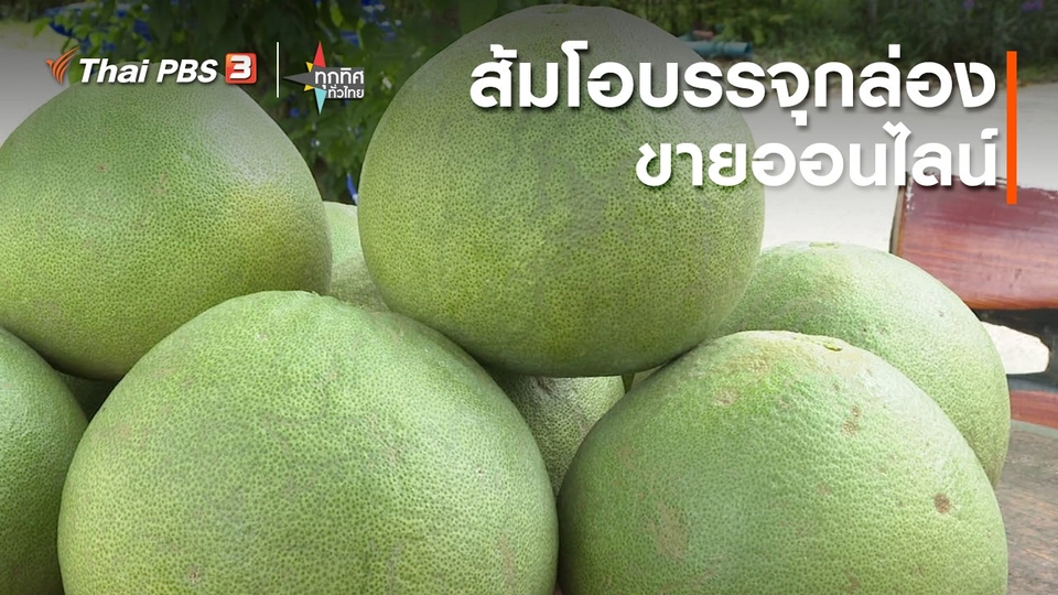อาชีพทั่วไทย : ส้มโอบรรจุกล่องขายออนไลน์ จ.ปราจีนบุรี