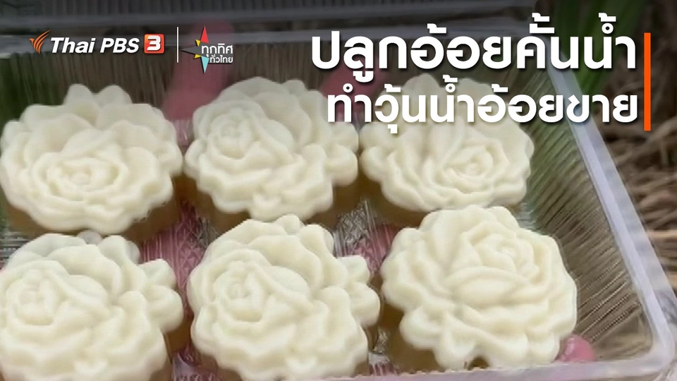​อาชีพทั่วไทย : ปลูกอ้อยคั้นน้ำทำวุ้นน้ำอ้อยขาย จ.เพชรบูรณ์
