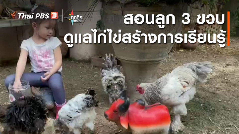 ​วิถีทั่วไทย : สอนลูก 3 ขวบดูแลไก่ไข่สร้างการเรียนรู้