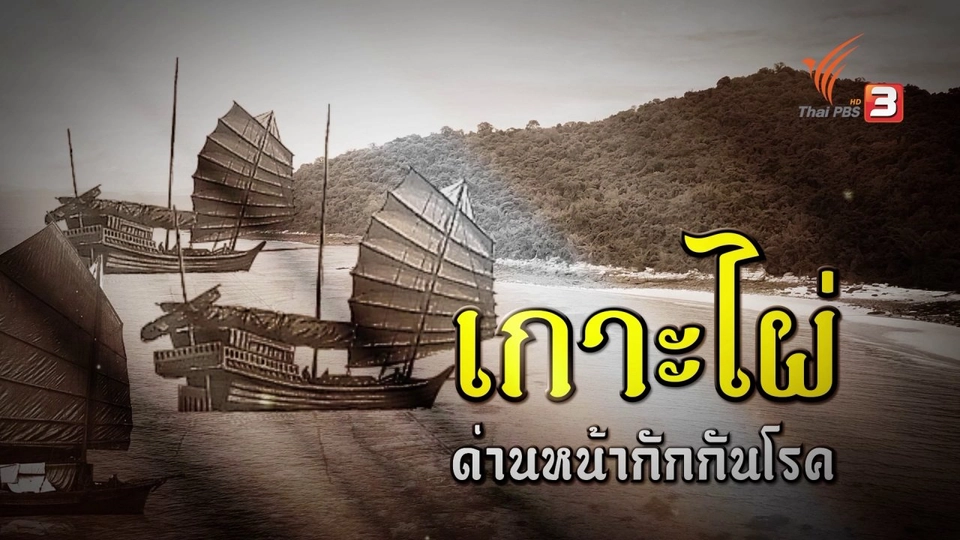 "กาฬโรค" กับ "เกาะไผ่"