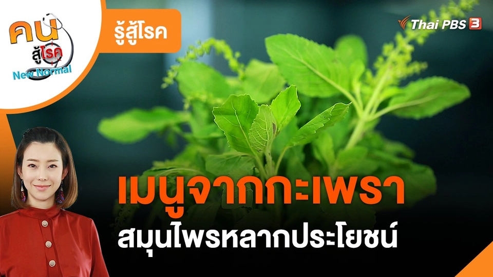 รู้สู้โรค : เมนูจากกะเพรา สมุนไพรหลากประโยชน์