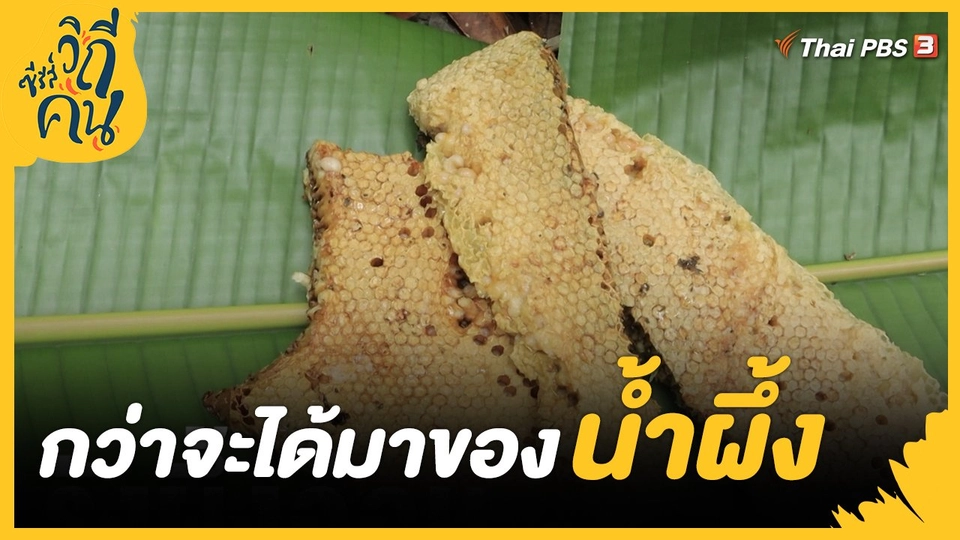 ​กว่าจะได้มาของน้ำผึ้ง