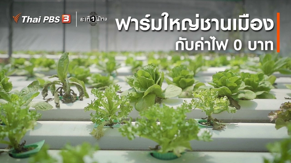 ​นักสร้างความเปลี่ยนแปลง : ฟาร์มใหญ่ชานเมือง กับค่าไฟ 0 บาท