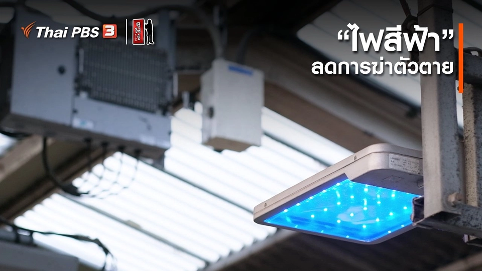 รู้ให้ลึกเรื่องญี่ปุ่น : “ไฟสีฟ้า” ลดการฆ่าตัวตาย