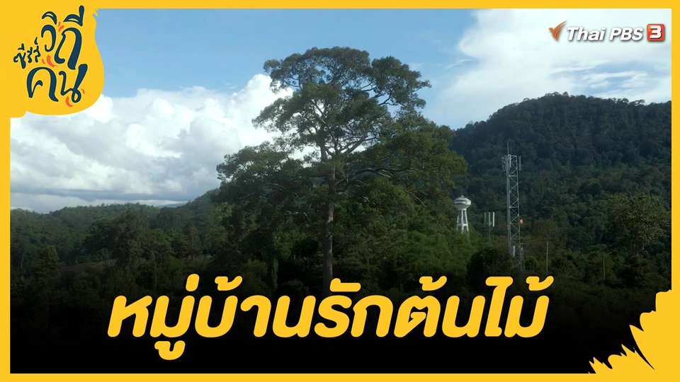 ​หมู่บ้านรักต้นไม้