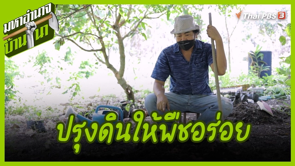 สูตรลับฉบับบ้านนา : ปรุงดินให้พืชอร่อย