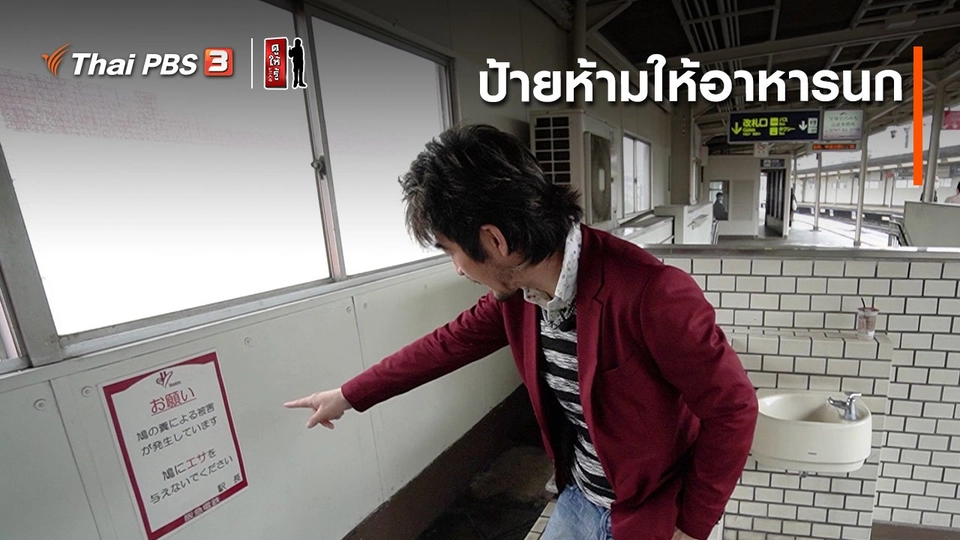 รู้ให้ลึกเรื่องญี่ปุ่น : ป้ายห้ามให้อาหารนก