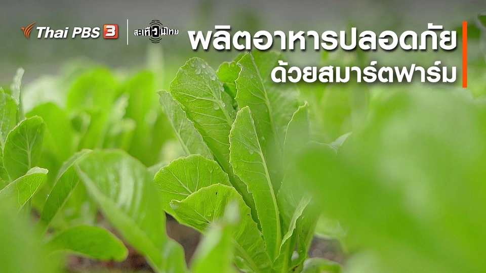 ​นักสร้างความเปลี่ยนแปลง : ผลิตอาหารปลอดภัยด้วยสมาร์ตฟาร์ม