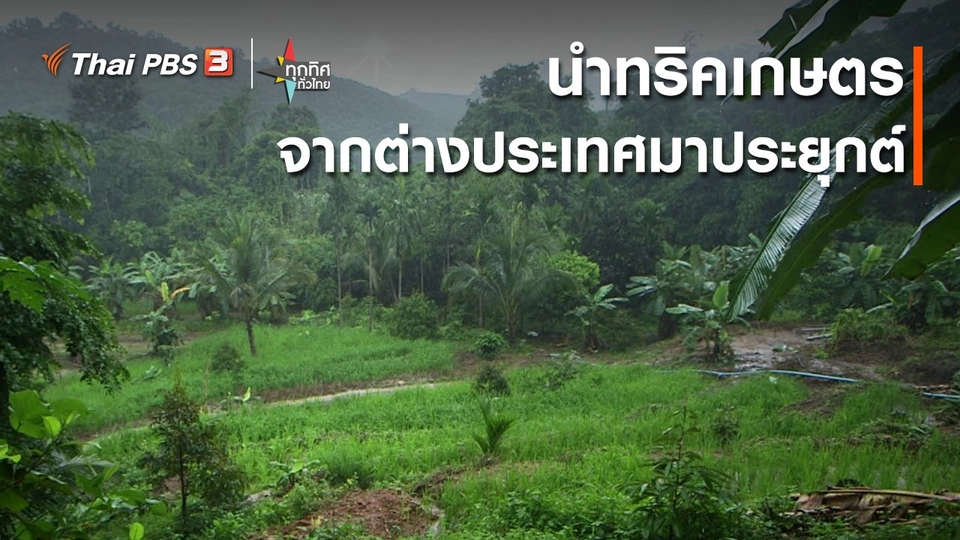 ​อาชีพทั่วไทย : นำทริคเกษตรจากต่างประเทศมาประยุกต์ จ.กาญจนบุรี