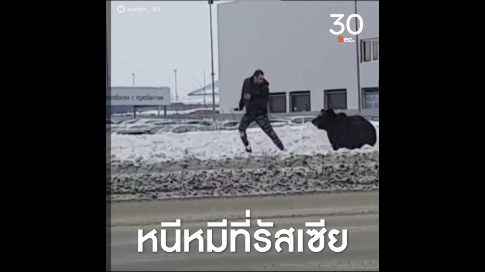 หนีหมีที่รัสเซีย