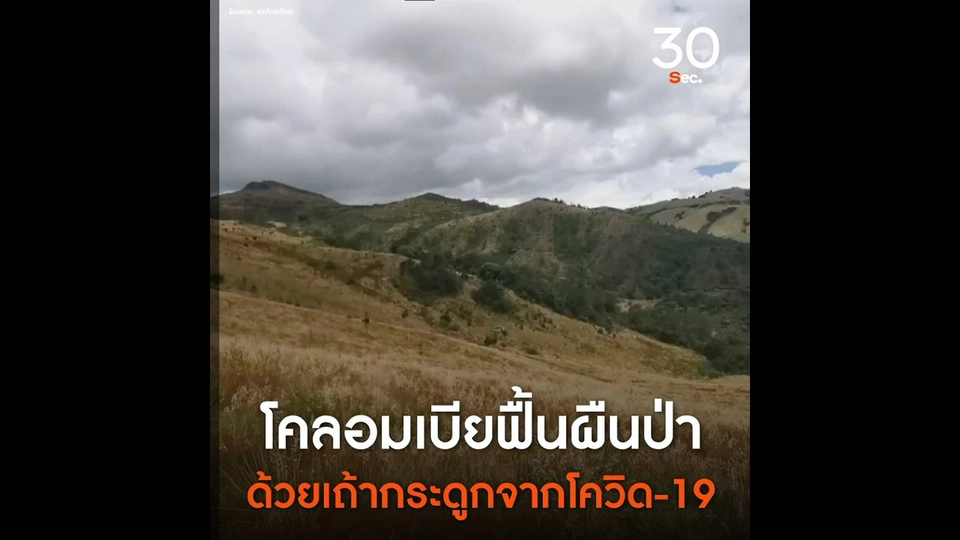 โคลอมเบียฟื้นผืนป่า ด้วยเถ้ากระดูกจากโควิด-19