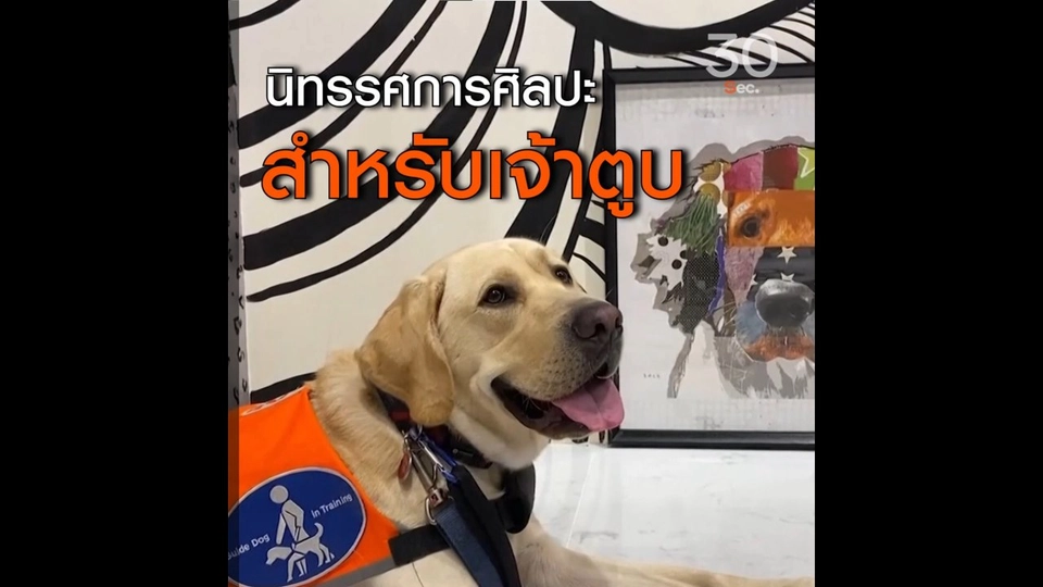 นิทรรศการ สำหรับเจ้าตูบ