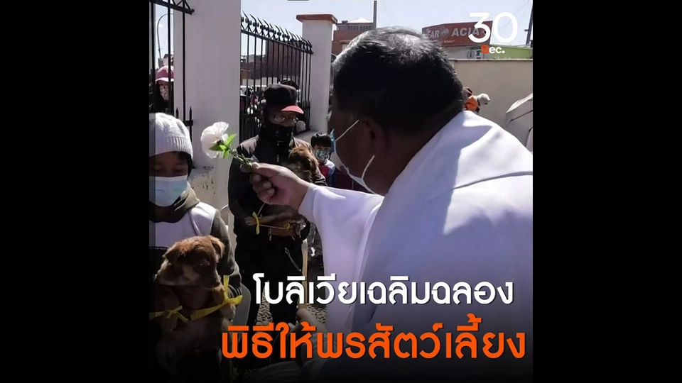 โบลิเวียเฉลิมฉลอง พิธีให้พรสัตว์เลี้ยง