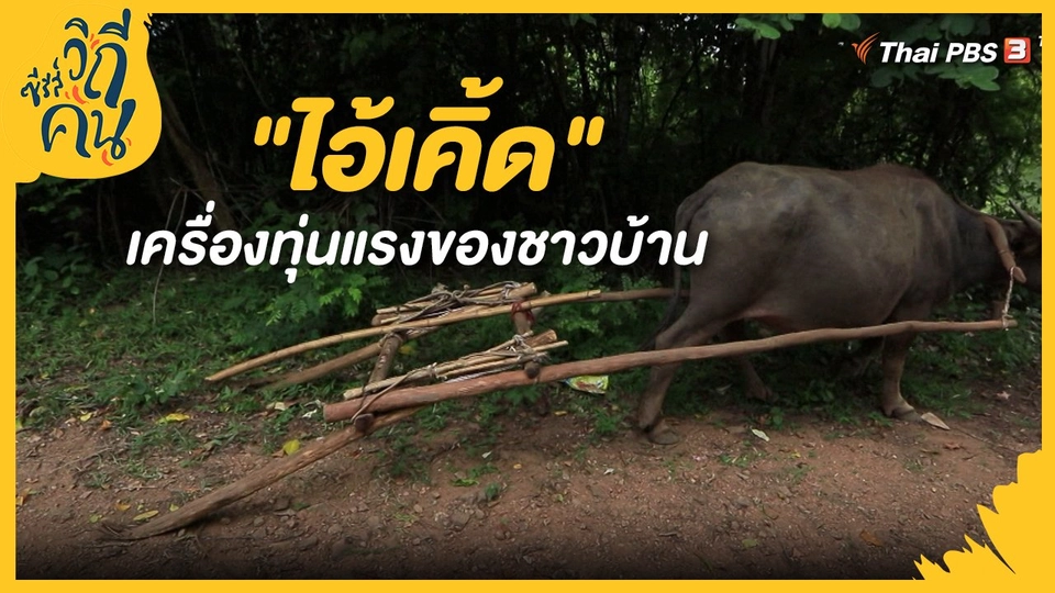 "ไอ้เคิ้ด เครื่องทุ่นแรงของชาวบ้าน