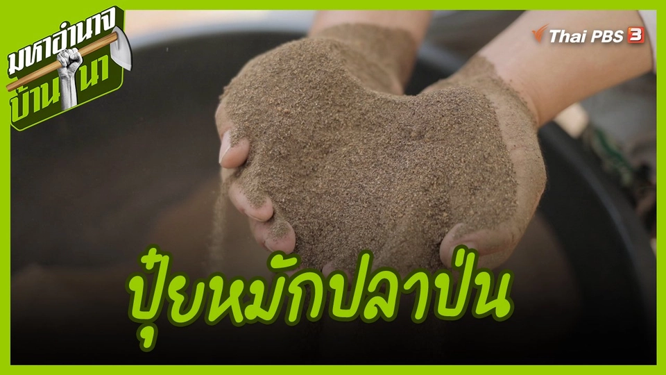สูตรลับฉบับบ้านนา : ปุ๋ยหมักปลาป่น