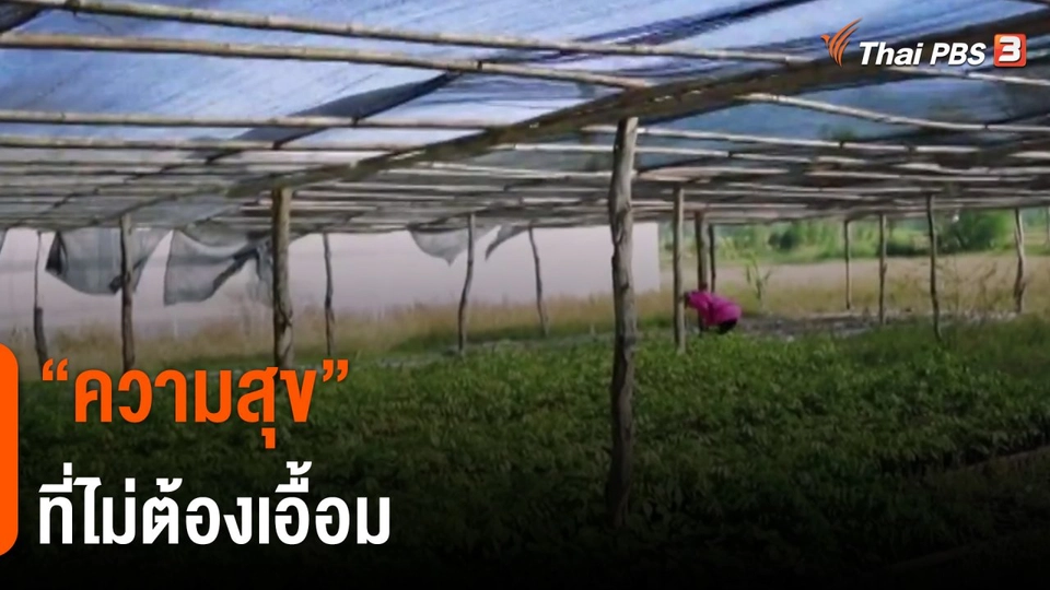 ​ดอกผลของความยั่งยืน : "ความสุข" ที่ไม่ต้องเอื้อม