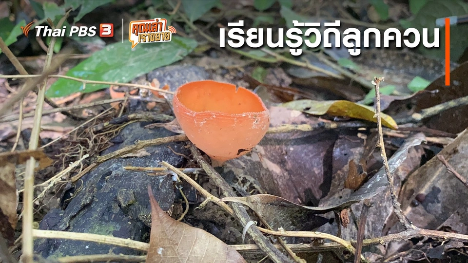 อวดดี : เรียนรู้วิถีลูกควน