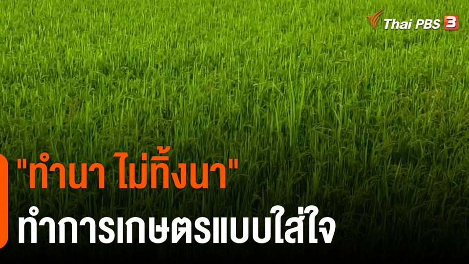 ​ดอกผลของความยั่งยืน : "ทำนา ไม่ทิ้งนา" ทำการเกษตรแบบใส่ใจ