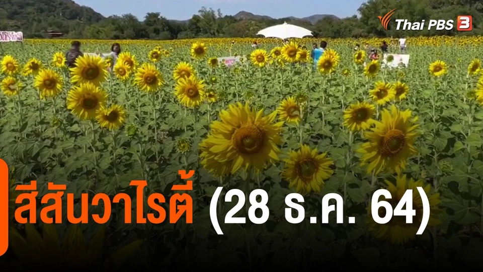 ​สีสันวาไรตี้ (28 ธ.ค. 64)