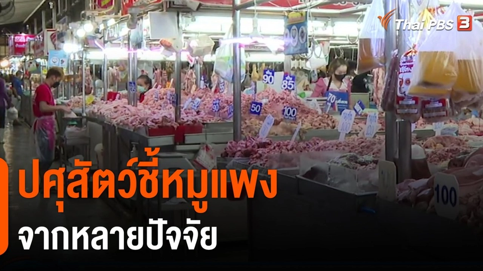 ​กินอยู่รู้รอบ : ปศุสัตว์ชี้หมูแพงจากหลายปัจจัย