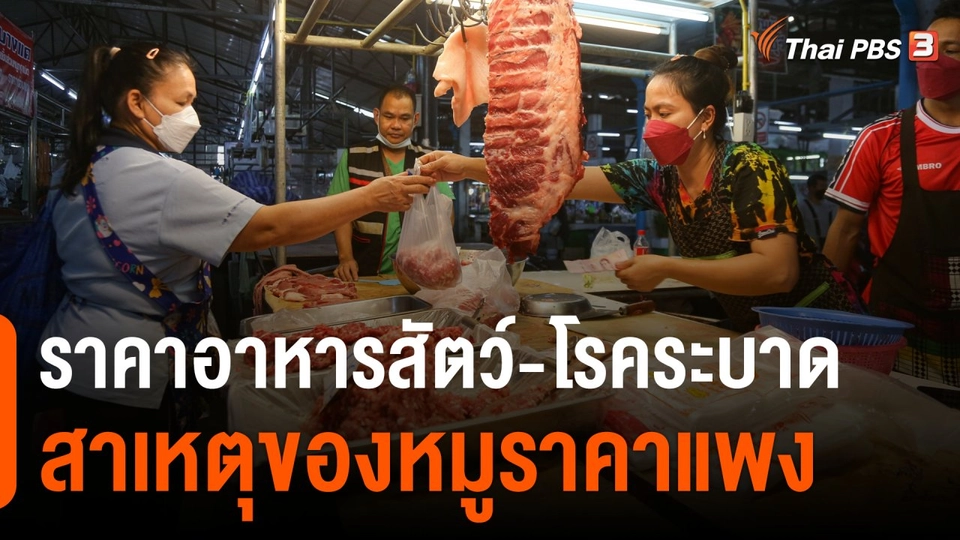 ความเป็นไปได้ในการแก้ปัญหาราคาหมูแพง