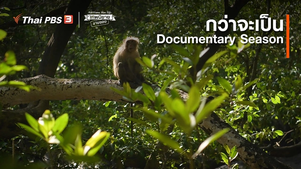 ​ภาพช็อตเด็ด : กว่าจะเป็น Documentary Season ​