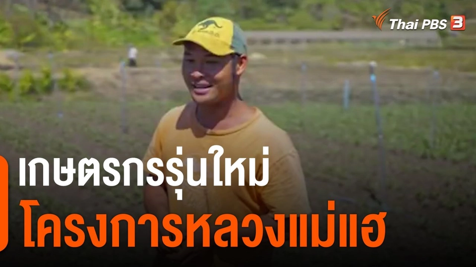 ดอกผลของความยั่งยืน : เกษตรกรรุ่นใหม่โครงการหลวงแม่แฮ