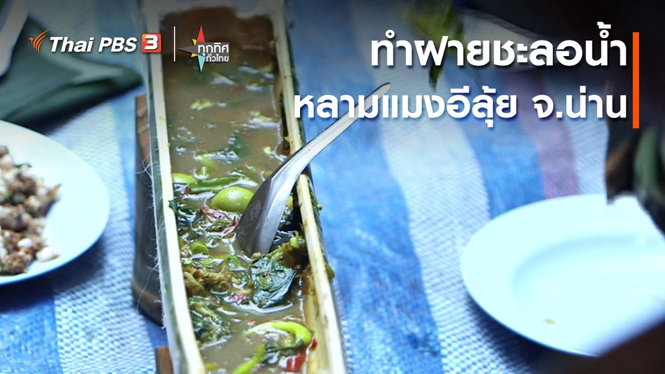 วิถีทั่วไทย : ทำฝายชะลอน้ำ หลามแมงอีลุ้ย จ.น่าน