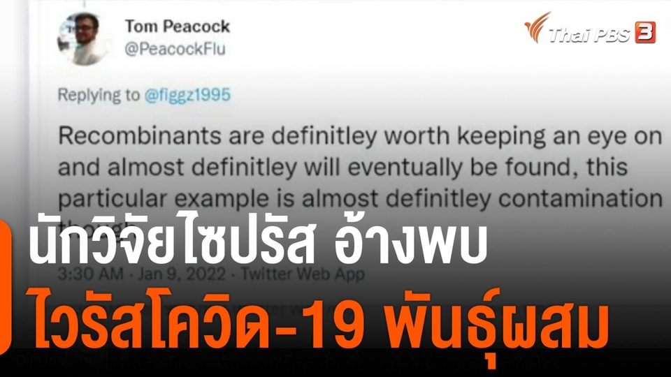 นักวิจัยไซปรัส อ้างพบไวรัสโควิด-19 พันธุ์ผสม