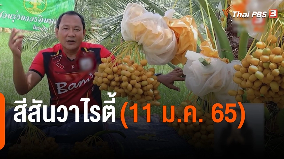 สีสันวาไรตี้ (11 ม.ค. 65)