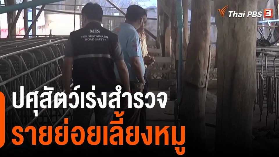 ปศุสัตว์เร่งสำรวจรายย่อยเลี้ยงหมู