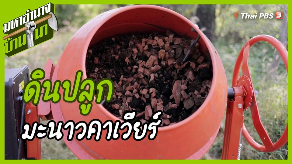 สูตรลับฉบับบ้านนา : ดินปลูกมะนาวคาเวียร์