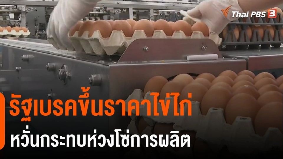 จับสัญญาณเศรษฐกิจ : รัฐเบรคขึ้นราคาไข่ไก่หวั่นกระทบห่วงโซ่การผลิต