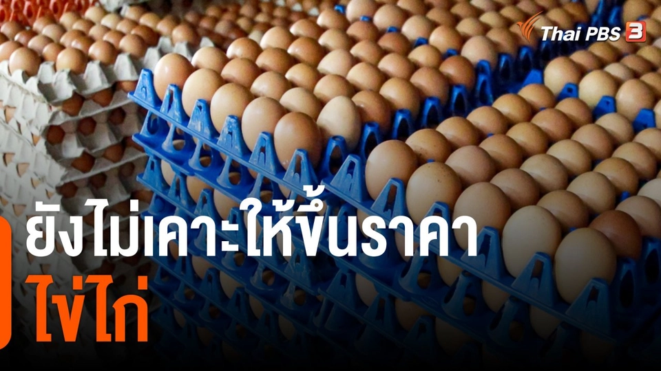 กินอยู่รู้รอบ : ยังไม่เคาะให้ขึ้นราคาไข่ไก่