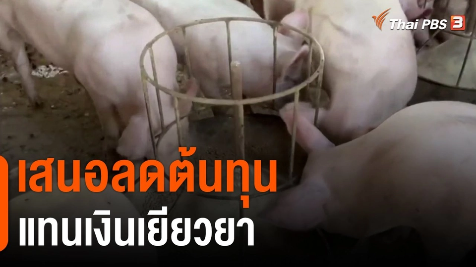เสนอลดต้นทุนแทนเงินเยียวยา
