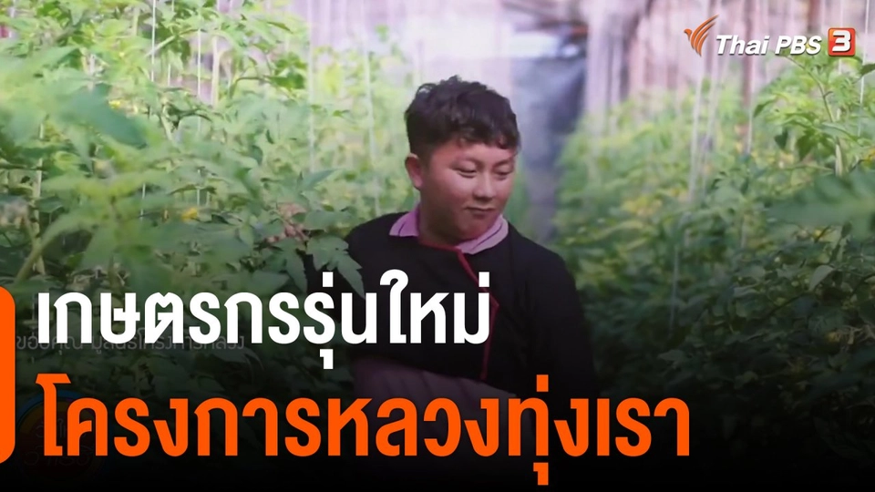 ดอกผลของความยั่งยืน : เกษตรกรรุ่นใหม่โครงการหลวงทุ่งเรา จ.เชียงใหม่