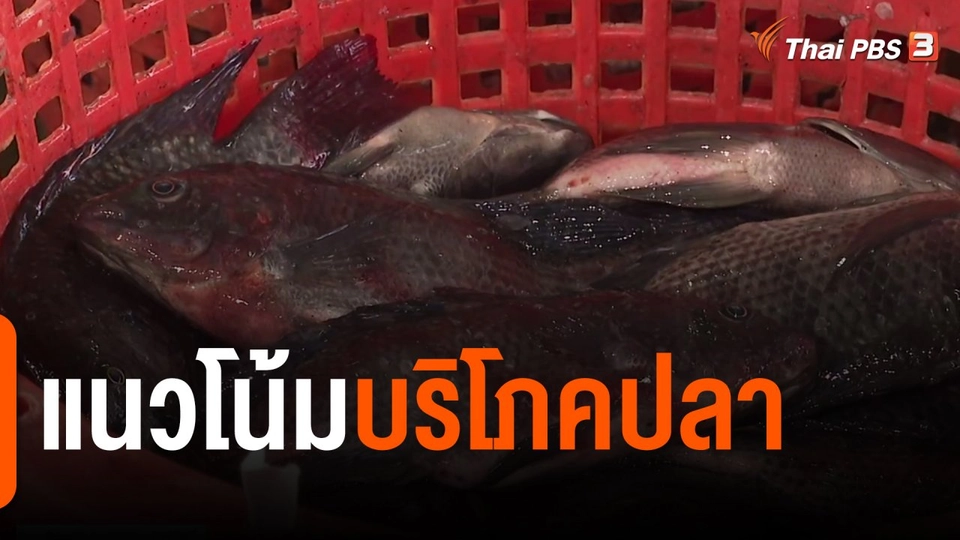 ​จับสัญญาณเศรษฐกิจ : แนวโน้มบริโภคปลา