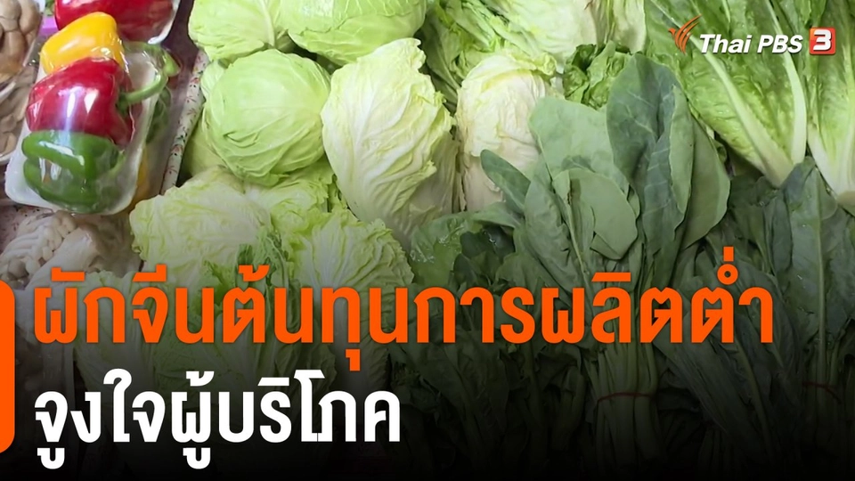 ผักจีนต้นทุนการผลิตต่ำจูงใจผู้บริโภค