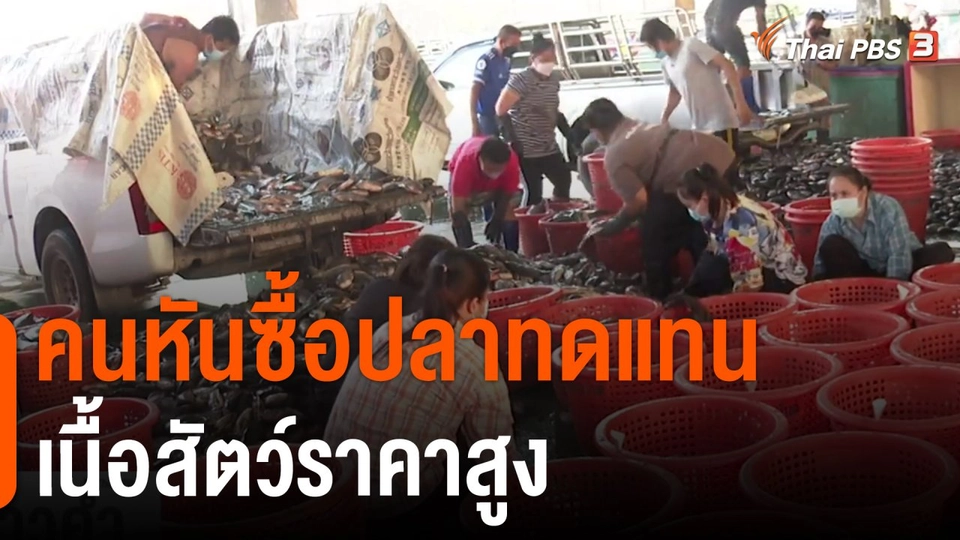 คนหันซื้อปลาทดแทนเนื้อสัตว์ราคาสูง