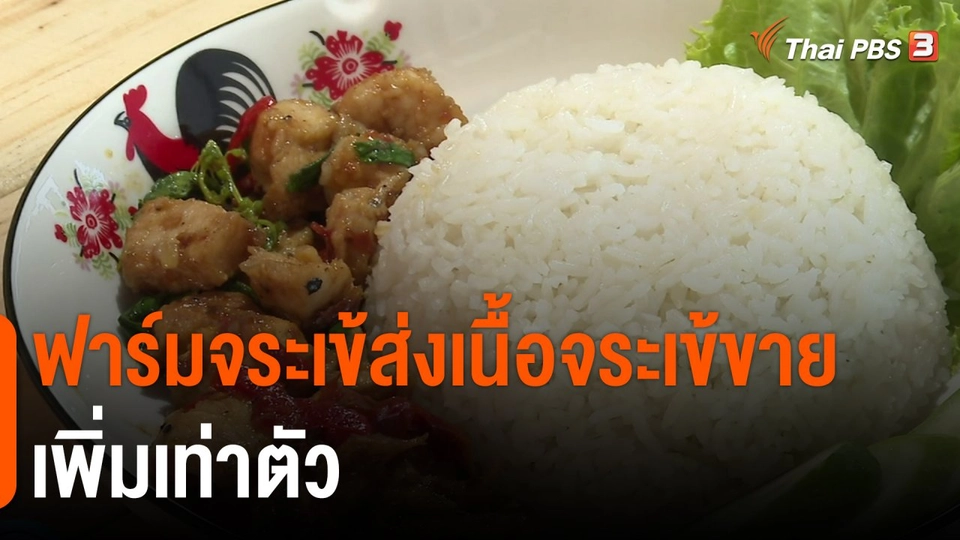 ​ฟาร์มจระเข้ส่งเนื้อจระเข้ขายเพิ่มเท่าตัว