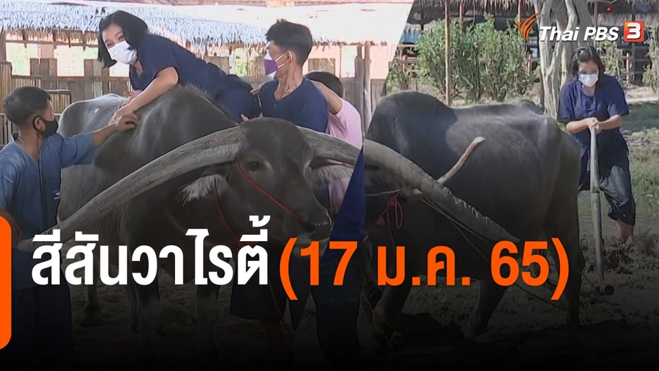 สีสันวาไรตี้ (17 ม.ค. 65)