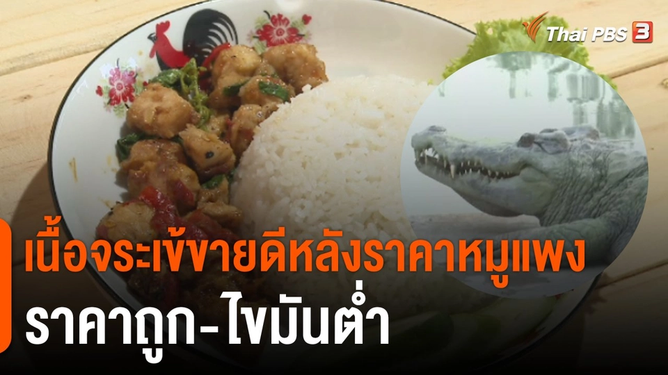 เนื้อจระเข้ขายดีหลังราคาหมูแพง