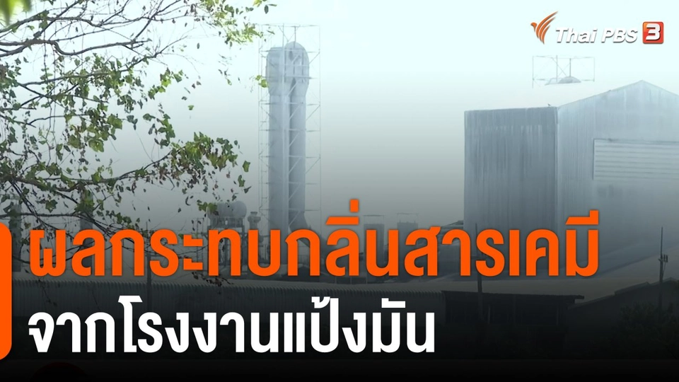 สถานีร้องเรียน : ผลกระทบกลิ่นสารเคมีจากโรงงานแป้งมัน อ.ด่านขุนทด จ.นครราชสีมา