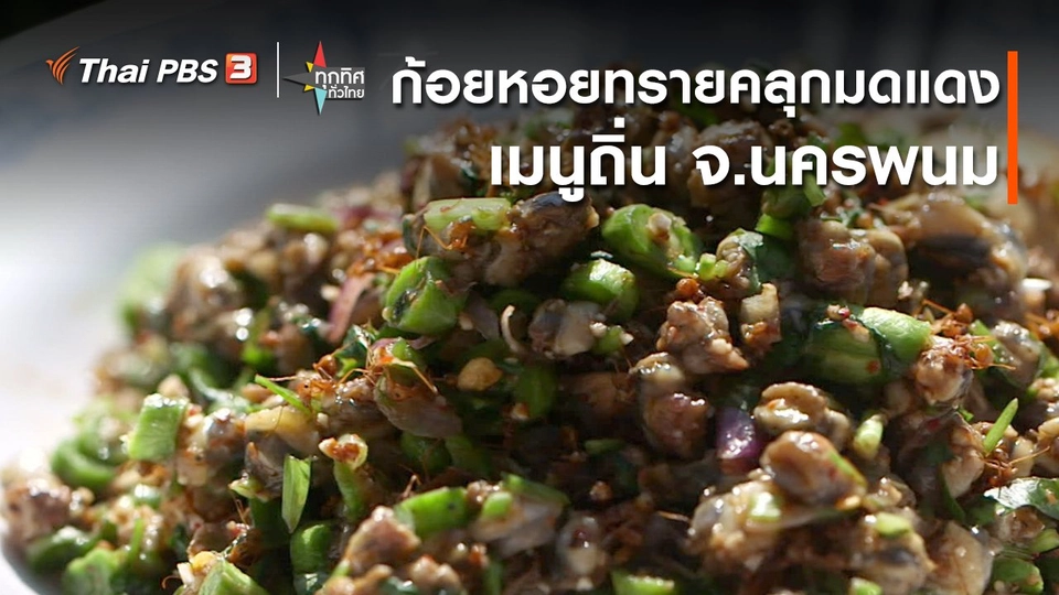 วิถีทั่วไทย : ก้อยหอยทรายคลุกมดแดงเมนูถิ่น จ.นครพนม